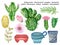 Watercolor illustration graphic elements plant flower pot indoor outdoor cactus succulents hand paint on white