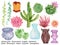 Watercolor illustration graphic elements plant flower pot indoor outdoor cactus succulents hand paint on white