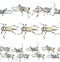 Watercolor illustration grasshoppers locusts , seamless stripes set, a pastel color sketch isolated on a white