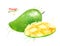 Watercolor illustration of green mango