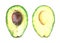 Watercolor illustration of halves of avocado fruit.