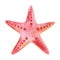 Watercolor illustration of hand painted red five finger starfish, ocean animal. Sea animal creature