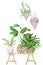 Watercolor illustration of home decoration with potted plants on the indoor potting wooden bench.