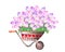 Watercolor illustration of a huge, lush, magnificent bouquet of pale pink tulips in garden wheelbarrow