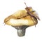 Watercolor illustration, image of a mushroom. Milk mushroom.