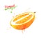 Watercolor illustration of Kumquat fruit
