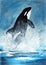 Watercolor illustration of a large black and white spotted killer whale