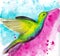 Watercolor illustration of a little hummingbird