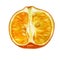 Watercolor illustration. Mandarin. Half tangerine. Unpeeled mandarin fruit