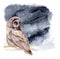 Watercolor illustration. The owl sits on a branch of tree. Night forest landscape.