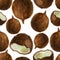 Watercolor illustration, pattern. Coconuts on a white background.