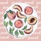 Watercolor illustration of peaches, peach pieces and leaves.
