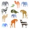 Watercolor illustration picture set of animals elephant, camel, giraffe, zebra, crocodile, snake. transparent watercolor different