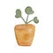 Watercolor illustration of a pilea plant in a flower pot on a white background.