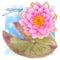 Watercolor Illustration of pink water lily  and dragonfly. Elements for design of invitations, movie posters, fabrics and other