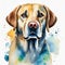 Watercolor illustration of pure breed Labrador Retriever dog. Colorful painting of domestic animal