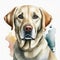 Watercolor illustration of pure breed Labrador Retriever dog. Colorful painting of domestic animal