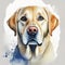 Watercolor illustration of pure breed Labrador Retriever dog. Colorful painting of domestic animal