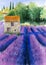 Watercolor illustration of a purple blooming lavender field with a stone house