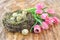 Watercolor illustration of Quail Easter eggs in nest with bunch of pink tulips wooden background