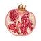 Watercolor illustration of a red ripe pomegranate. Hand drawn fresh, organic half cutted ripe fruit with sweet juicy seeds.