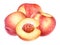 Watercolor illustration with ripe peach fruits