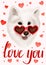 Watercolor illustration, Samoyed Laika dog, with heart-shaped glasses, on a light background with lettering and hearts.