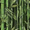 Watercolor illustration seamless pattern of bamboo. Stems, leaves in the rhythm of the jungle thickets. For textiles