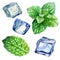 Watercolor illustration, set. An image of mint. Mint leaves. The image of ice. Ice cubes for drinks, cocktails