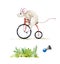 Watercolor illustration set of a mouse riding a red bike. Hand drawn watercolour set of a rat, isolated on white background.