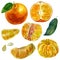 Watercolor illustration, set. Whole tangerine in a peel. Purified Mandarin Half, Purified Whole Mandarin Fruit. Half a tangerine