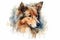 Watercolor illustration of shetland sheepdog portrait with drops and splashes of watercolor paint