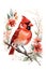 watercolor illustration of small red cardinal bird on branch with florals