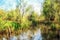 Watercolor illustration of Spreewald forest in Brandenburg Germany