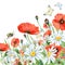 Watercolor illustration of summer meadow full of flowers