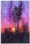 Watercolor illustration sunset evening ears spikes flowers violet purple red blue colors