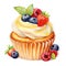 Watercolor illustration of sweet dessert cupcakes. A mouthwatering sweet organic dessert. Creamy berry muffin close-up