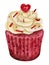 Watercolor illustration of sweet and tasty cupcakes with cream Delicious food illustration.