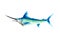 watercolor illustration of a swordfish