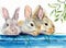 Watercolor illustration of three fluffy rabbits or hares