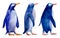 Watercolor illustration of three wolking blue penguins