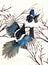 Watercolor illustration of two black and turquoise magpies