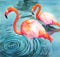 Watercolor illustration of two bright pink flamingos standing in water