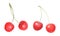 watercolor illustration of two pairs of cherries isolated on white background