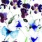 Watercolor illustration of Violet flowers