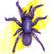 Watercolor illustration of violet spider tarantula to Halloween