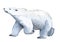 Watercolor illustration. A white bear stands. Splashes sketch of wild north animals