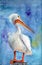 Watercolor illustration of a white giant pelican