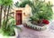 Watercolor illustration of a white stucco house with a red wooden door with tropical palm trees