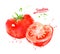Watercolor illustration of whole and half tomato